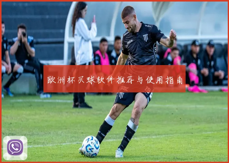 欧洲杯买球软件推荐与使用指南