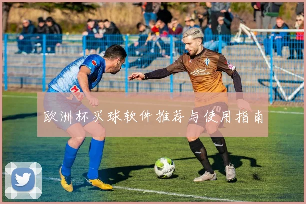 欧洲杯买球软件推荐与使用指南