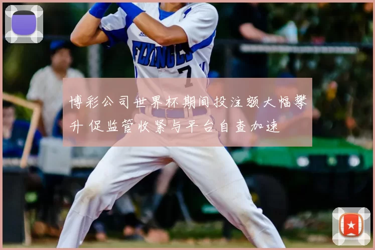 博彩公司世界杯期间投注额大幅攀升 促监管收紧与平台自查加速