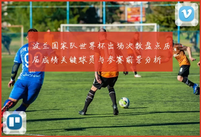 波兰国家队世界杯出场次数盘点历届成绩关键球员与参赛前景分析