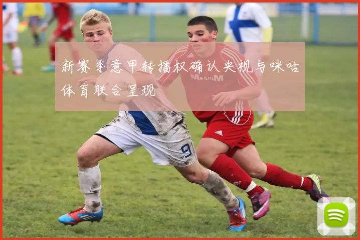 新赛季意甲转播权确认央视与咪咕体育联合呈现