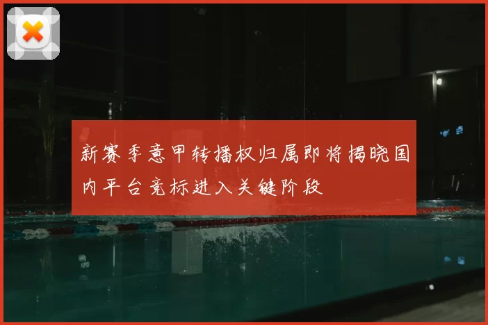 新赛季意甲转播权归属即将揭晓国内平台竞标进入关键阶段