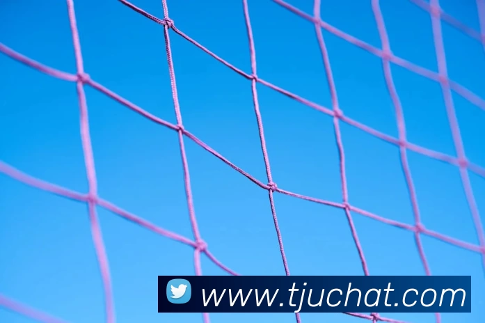 世界杯体育在线(中国)唯一官方网站发展历程